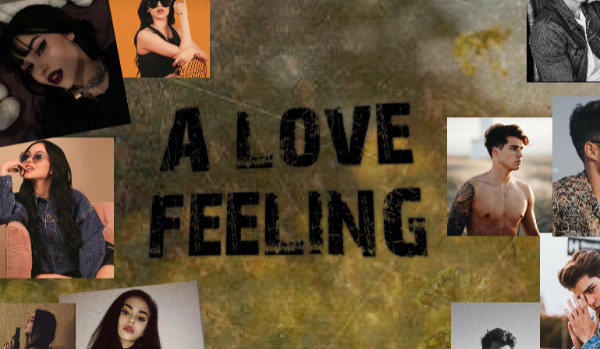 A Love Feeling #8