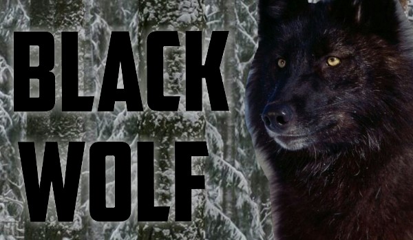 Black Wolf #7