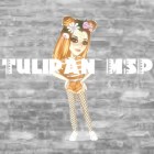 Tulipan_MSP