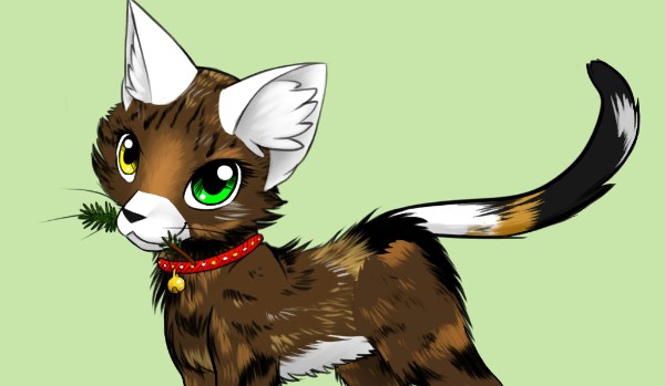 Drobne Easter eggy – Cat avatar maker
