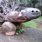 HEJTERKAWSZYSTKICHYOLOL