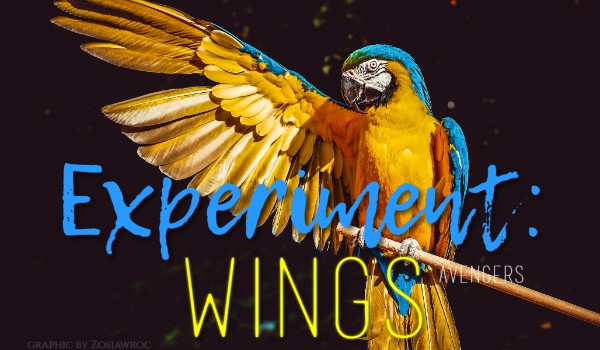 Experiment: Wings ~ Rozdział XIV