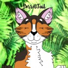 SorrelTail