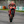 AlPex_J