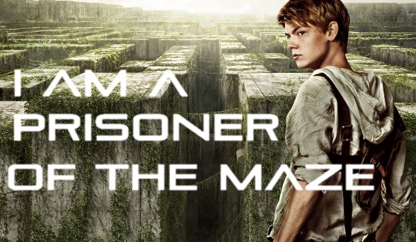 I am a prisoner of the maze #3