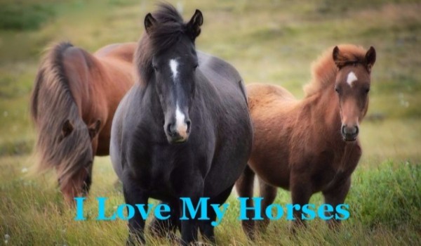 I Love My Horses #2