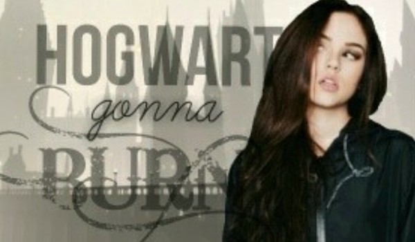 HOGWART gonna BURN #2