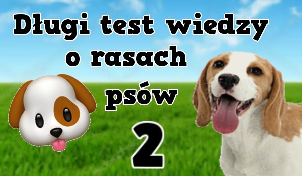 Długi test o rasach psów 2