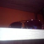 PinkKitty_