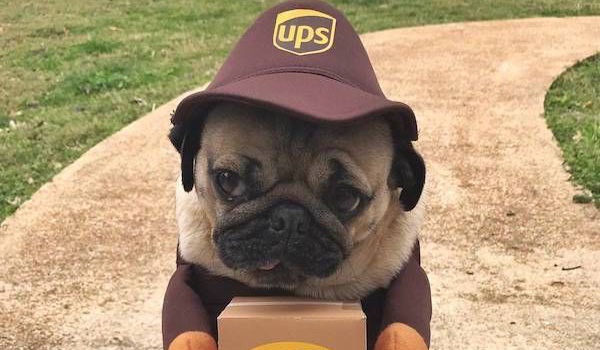 Mój wymarzony chlopak