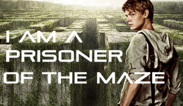 I am a prisoner of the maze #4