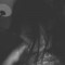 Night___