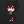 gacha_diabelsweetB3