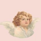 angel_zisia