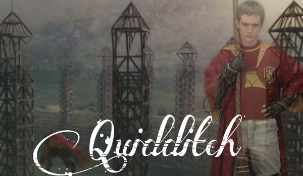 Quidditch #9