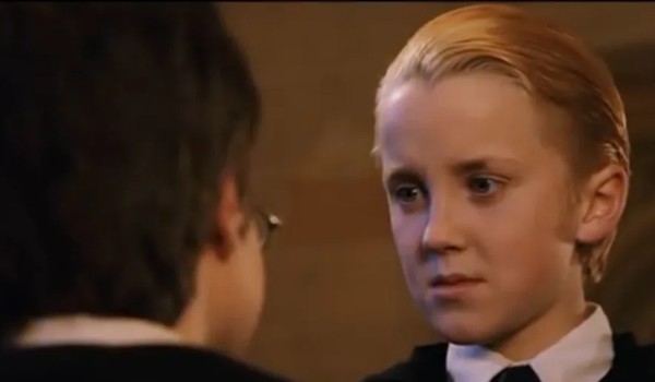 Twoja Historia z Draco Malfoy’em, Jako siostra Harry’ego Pottera