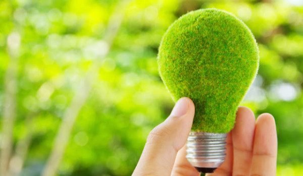 Czy wiesz, że… O ekologii!