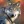 WolfLove