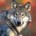 WolfLove