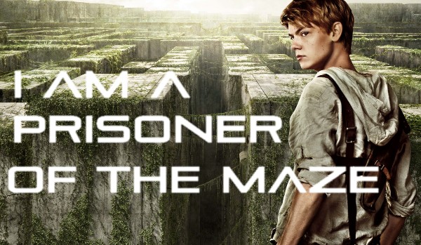I am a prisoner of the maze #2