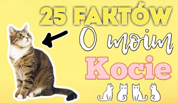 25 faktów o moim kocie!