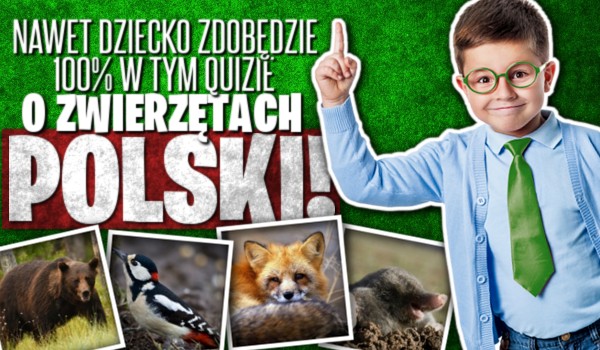 Nawet dziecko zdobędzie 100% w tym quizie o zwierzętach Polski!