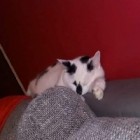 Sandra177