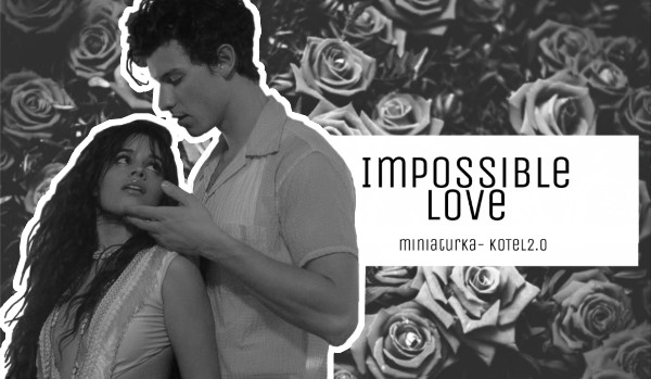 Impossible Love – • ONE •