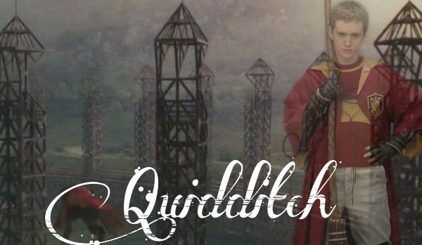 Quidditch #13
