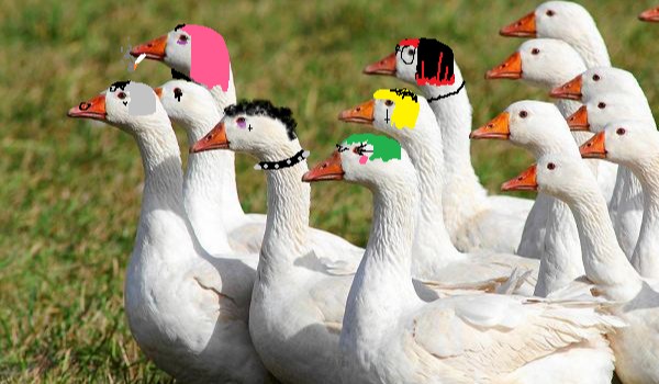 Czy jesteś alternatywką?