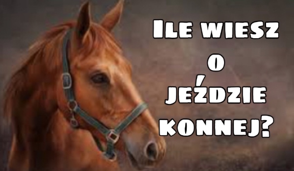 „Ile wiesz o jeździe konnej?”