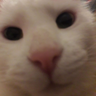 lizatron
