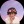 Eddie_Placebo