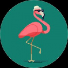 flamingo10