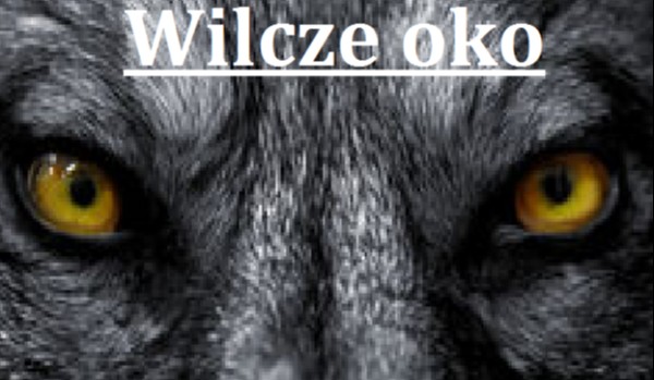 Wilcze Oko #11