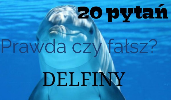 20 pytań z serii „prawda czy fałsz” -delfiny!