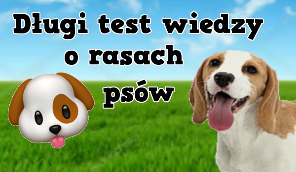 Długi test wiedzy o rasach psów