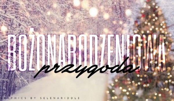 Bożonarodzeniowa Przygoda- #3