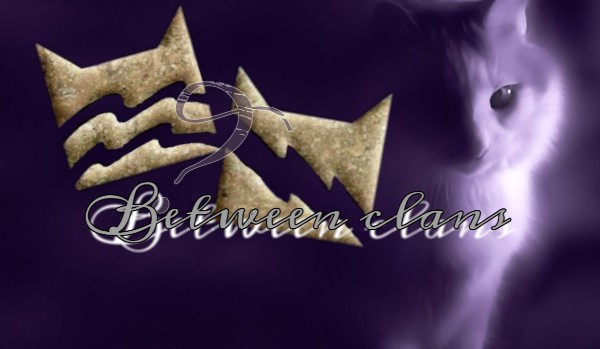 Between clans #1