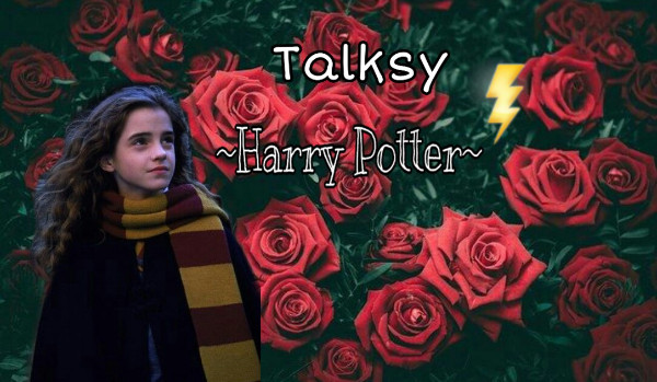 Talksy Harry Potter #5