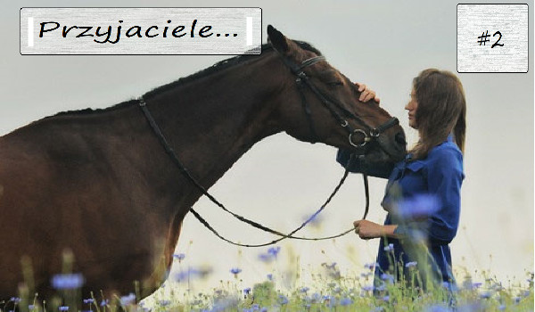Przyjaciele… #2