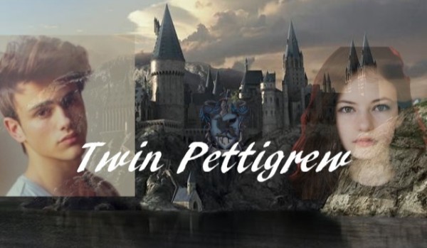 Twin Pettigrew #4