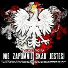 Lisekfc123