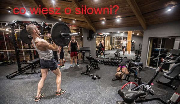 co wiesz o siłowni