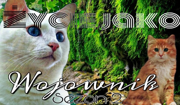 Życie jako wojownik. #PROLOG [sezon 2]