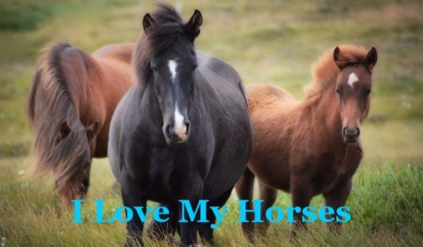 I Love My Horses #1