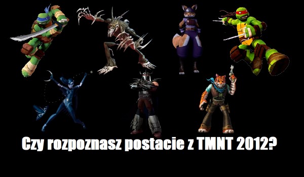 Czy rozpoznasz postacie z TMNT 2012?
