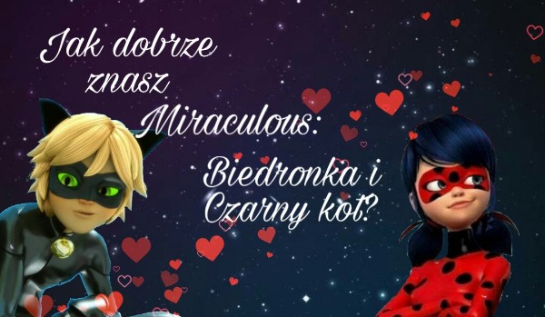 Jak dobrze znasz serial Miaraculuos: Biedronka i Czarny kot?