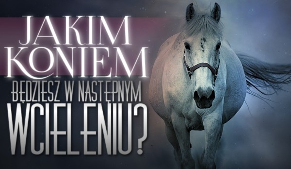 Jakim koniem będziesz w następnym wcieleniu?