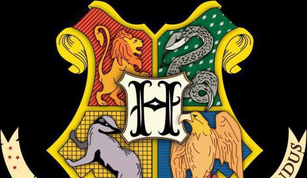 Hogwart- dom młodych czarodziei #5